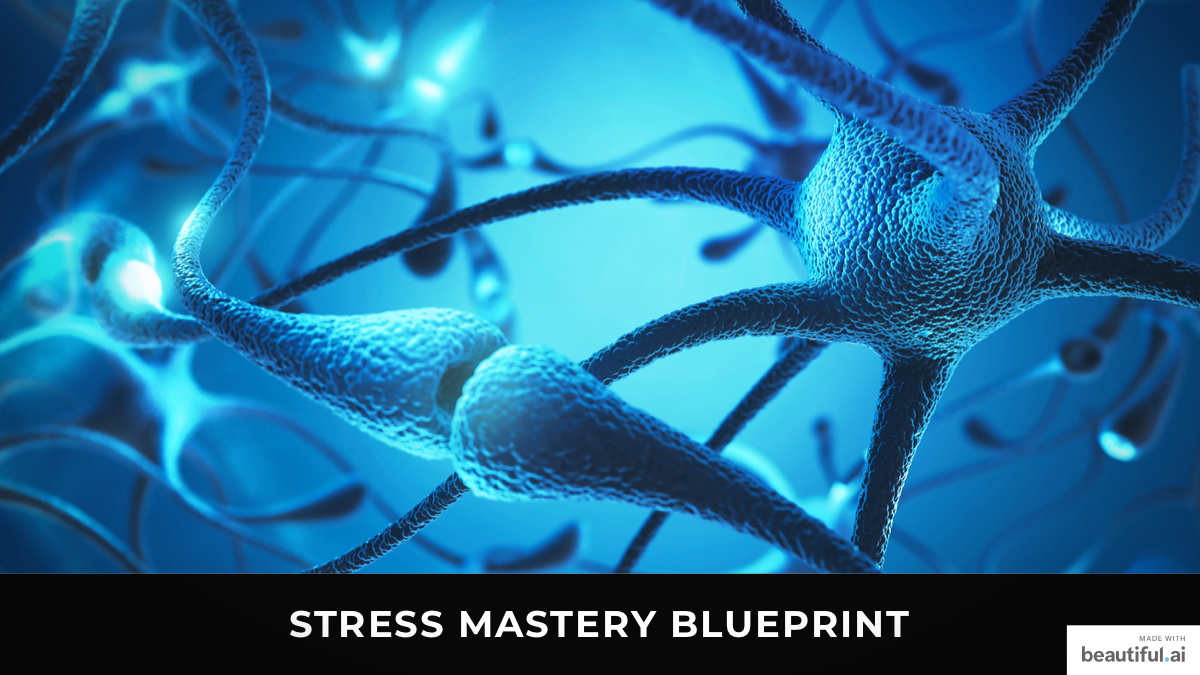 Stress Mastery Blueprint
